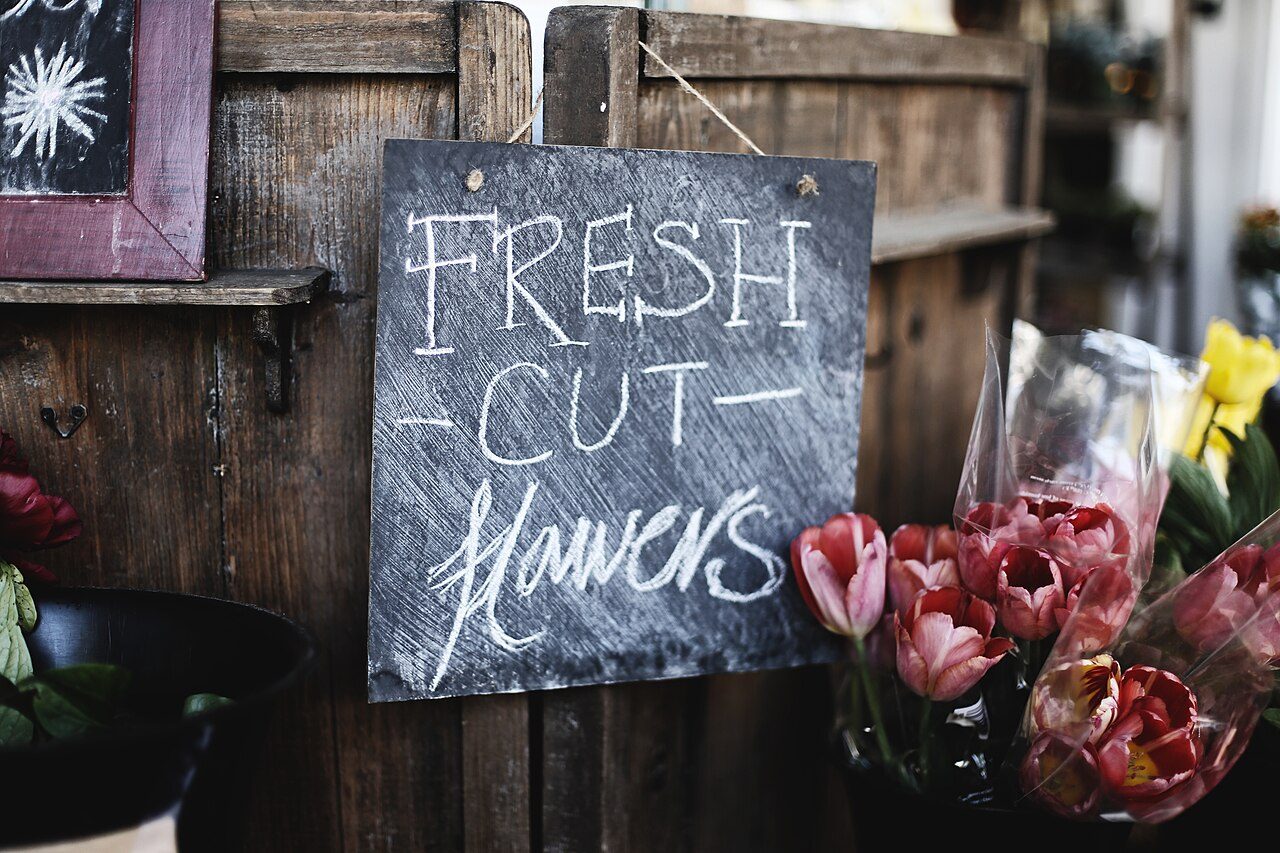 Fresh-cut flowers